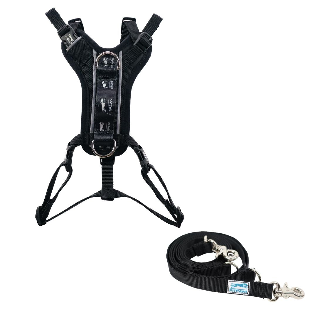 FITPAWS MADE TO MOVE HARNESS AND LEASH