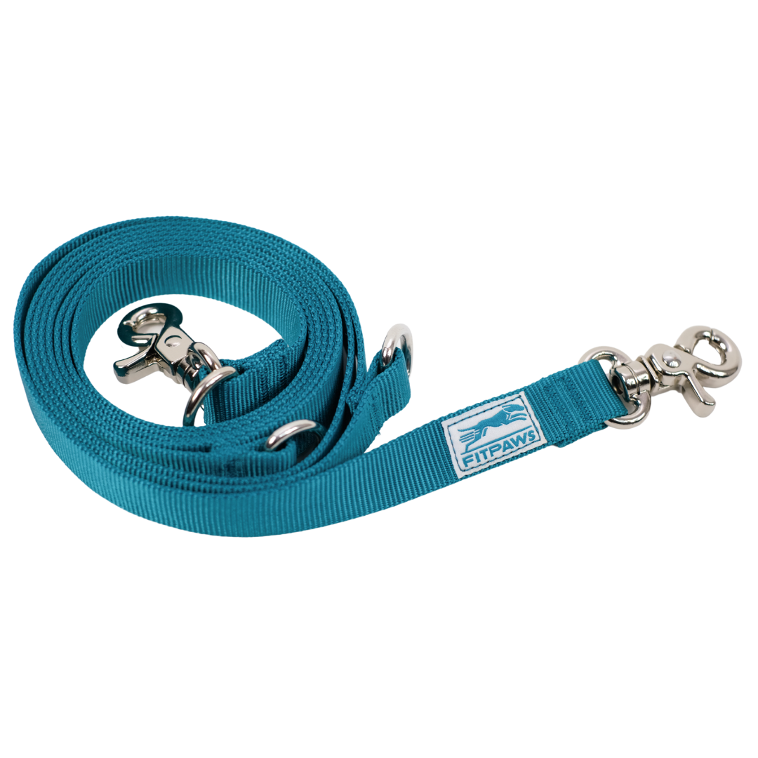 Made to Move Leash
