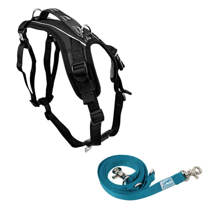 FITPAWS MADE TO MOVE HARNESS AND LEASH