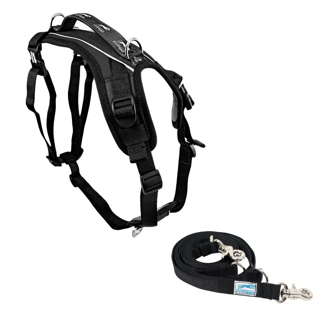 FITPAWS MADE TO MOVE HARNESS AND LEASH