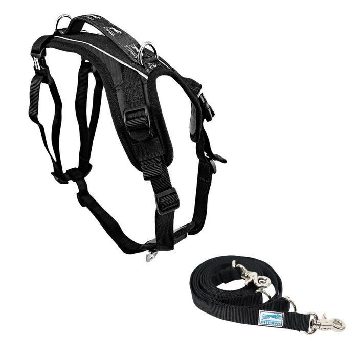 FITPAWS MADE TO MOVE HARNESS AND LEASH