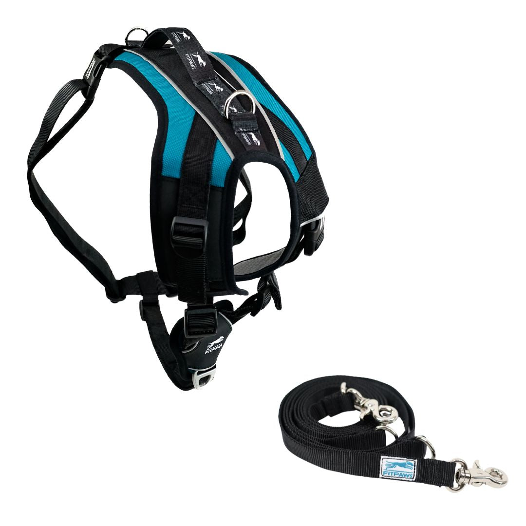FITPAWS MADE TO MOVE HARNESS AND LEASH