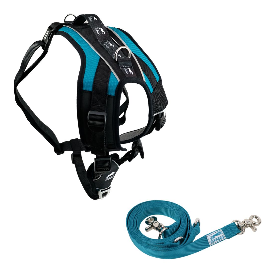 FITPAWS MADE TO MOVE HARNESS AND LEASH
