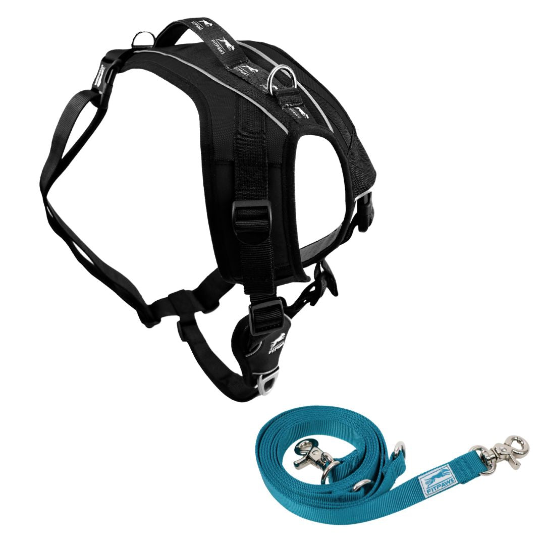 FITPAWS MADE TO MOVE HARNESS AND LEASH