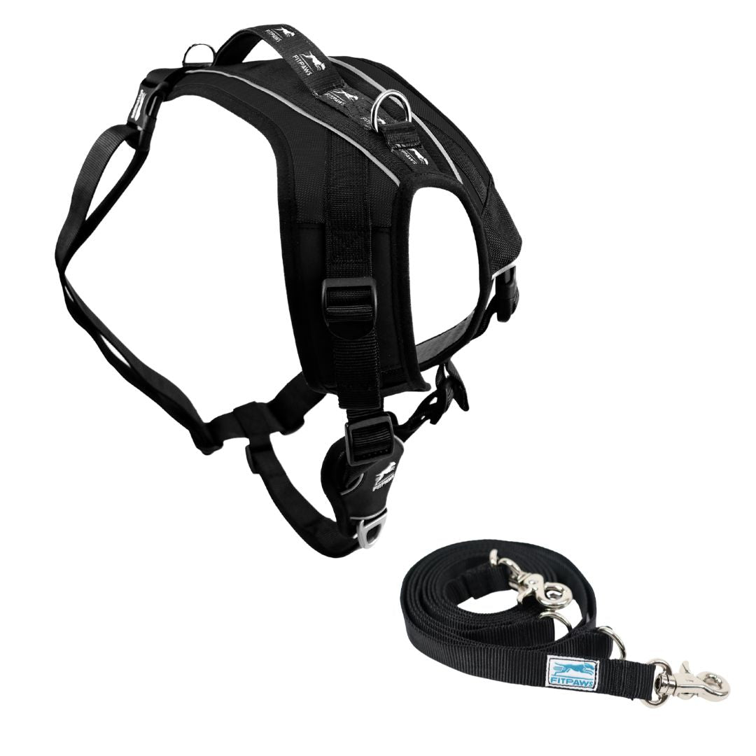 FITPAWS MADE TO MOVE HARNESS AND LEASH