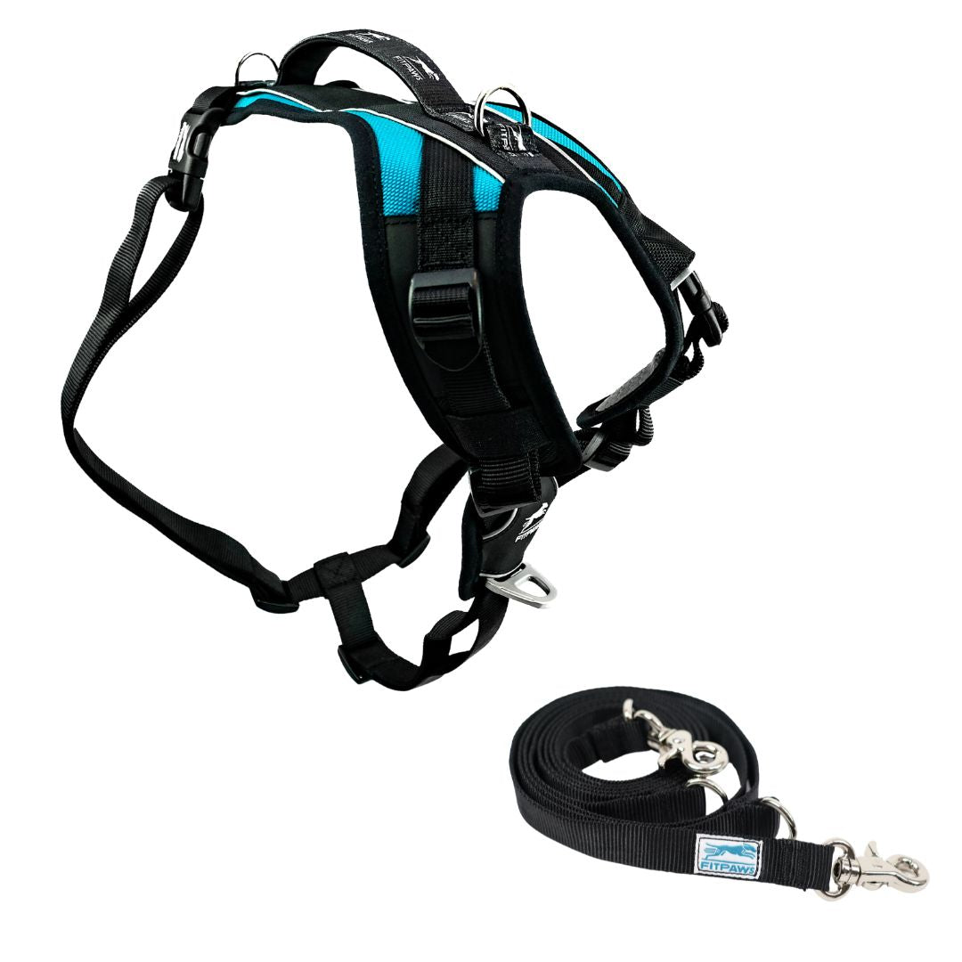 FITPAWS MADE TO MOVE HARNESS AND LEASH