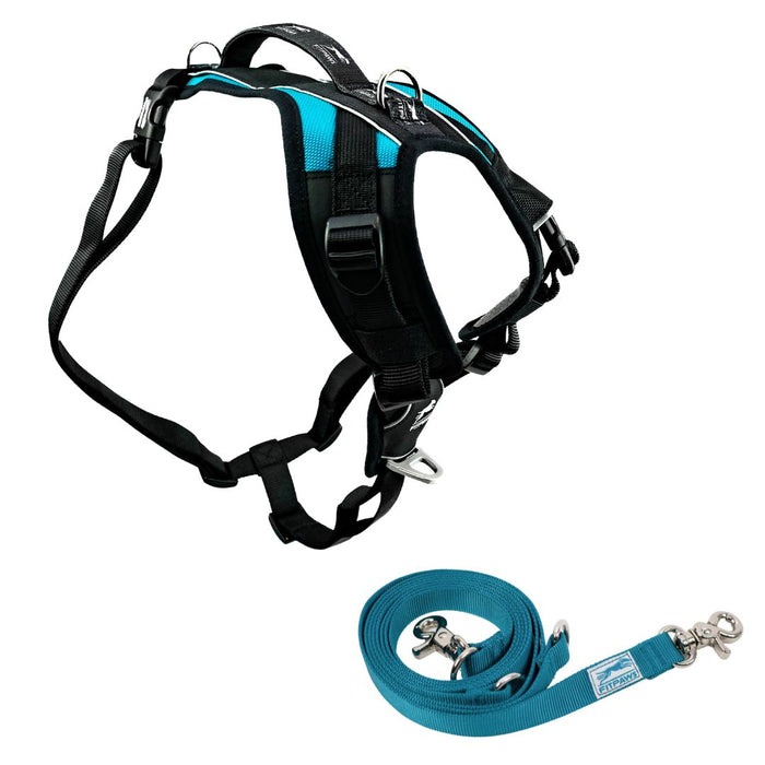 FITPAWS MADE TO MOVE HARNESS AND LEASH