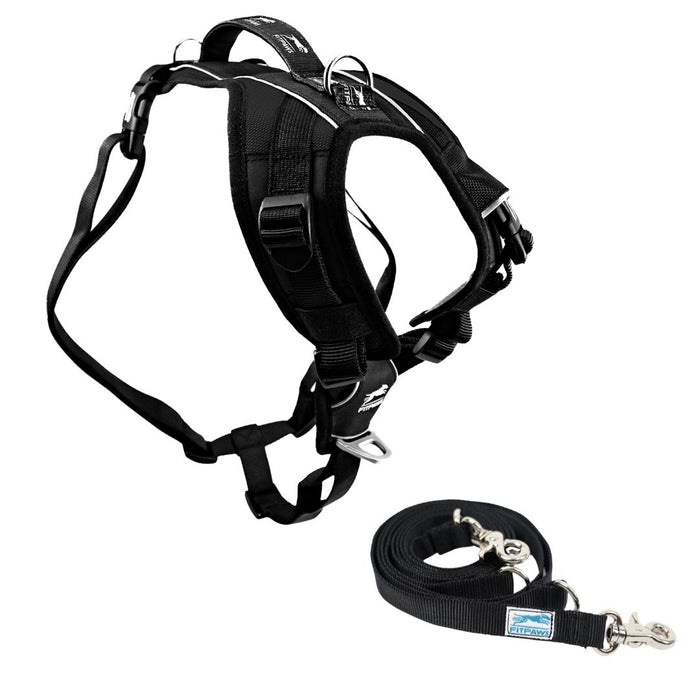 FITPAWS MADE TO MOVE HARNESS AND LEASH