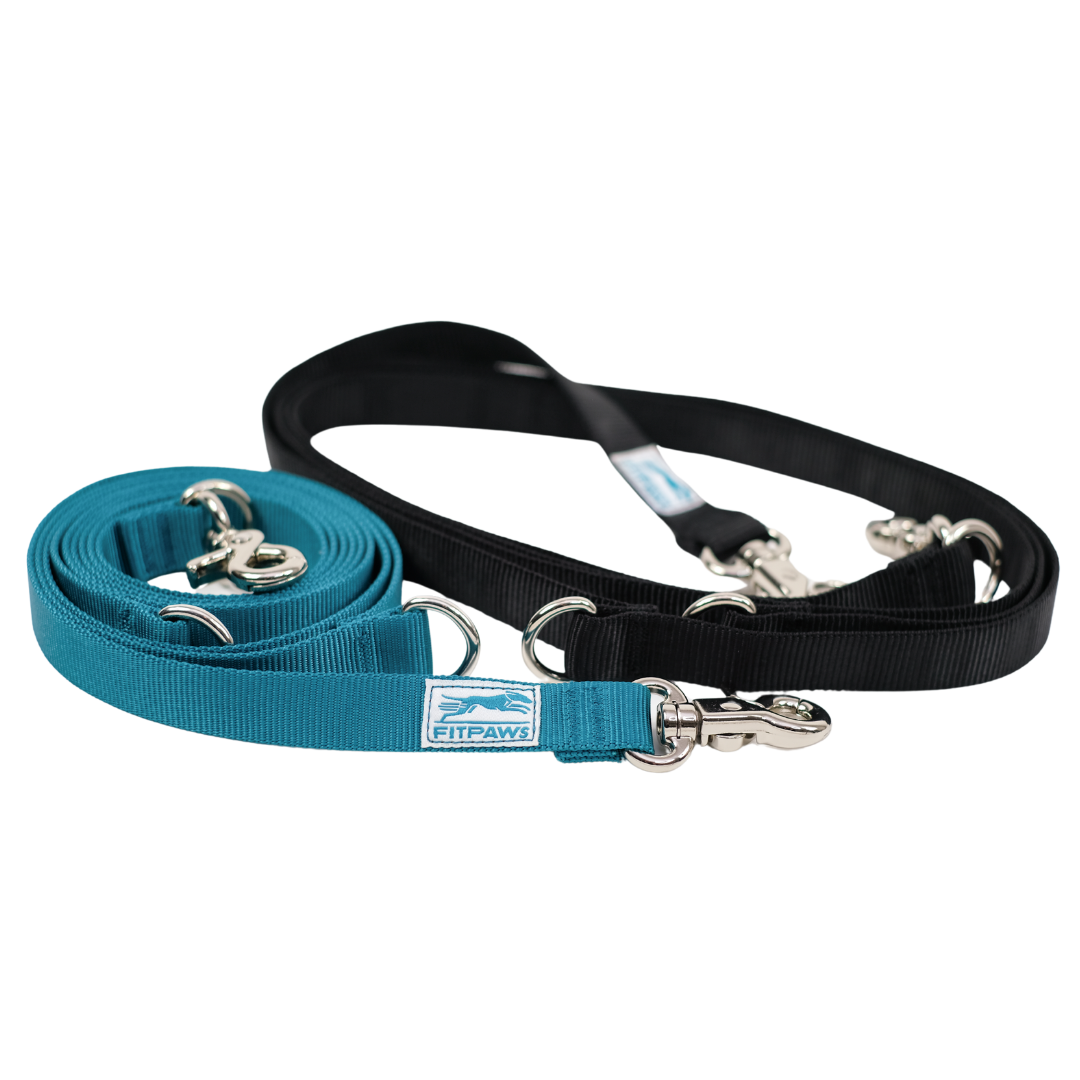 Made to Move Leash