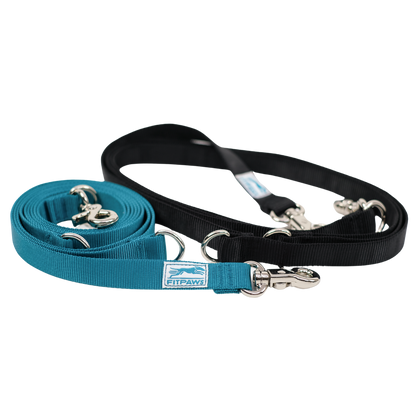 Made to Move Leash