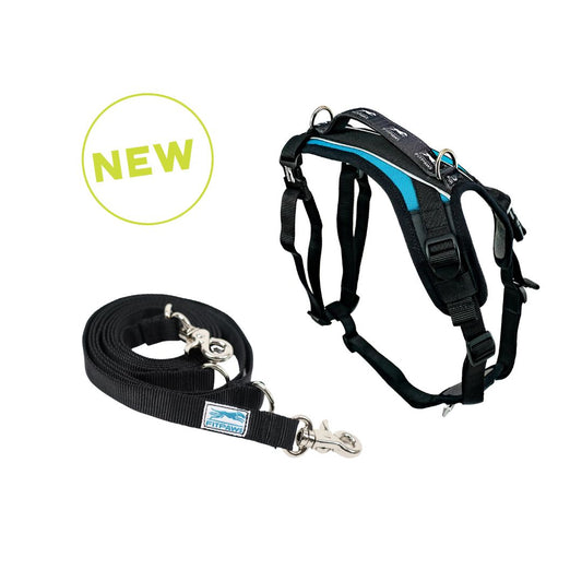 FITPAWS MADE TO MOVE HARNESS AND LEASH