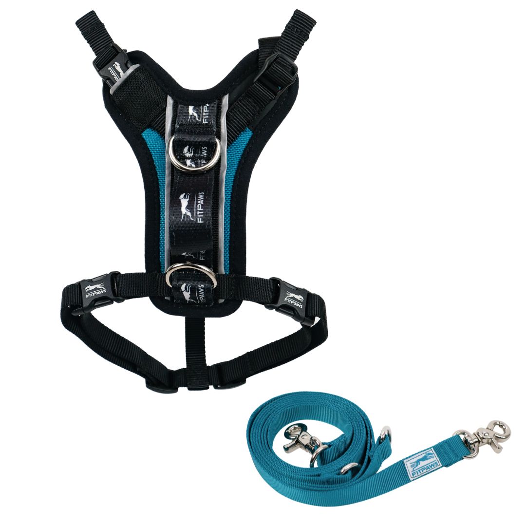 FITPAWS MADE TO MOVE HARNESS AND LEASH