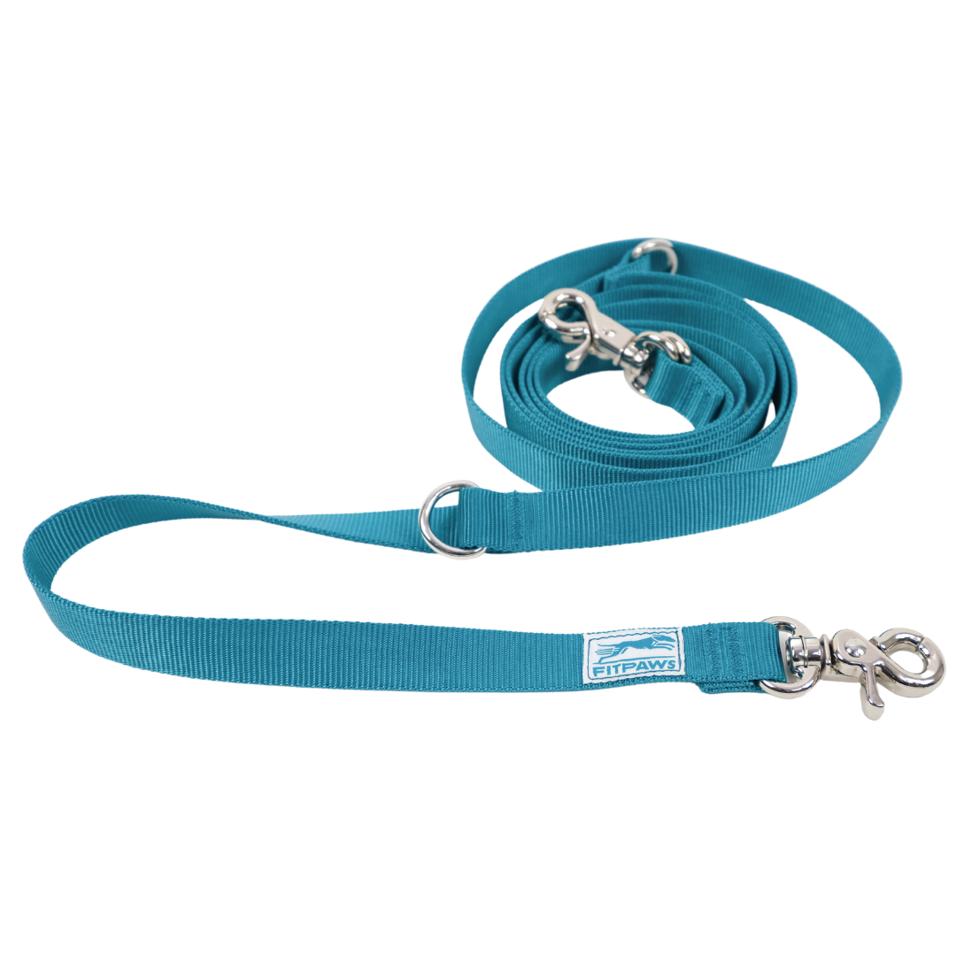 Made to Move Leash