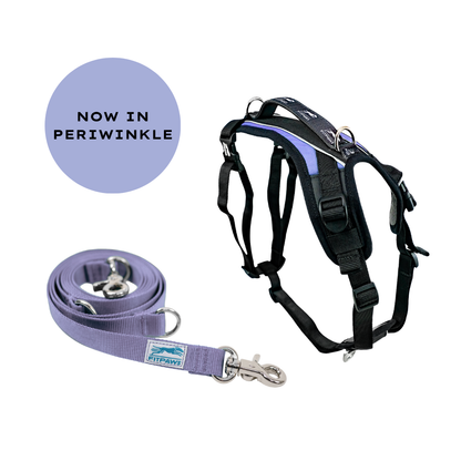 FITPAWS MADE TO MOVE HARNESS AND LEASH