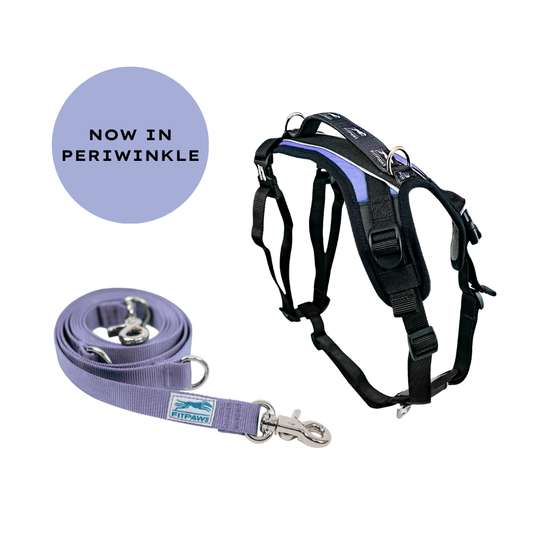 FITPAWS MADE TO MOVE HARNESS AND LEASH