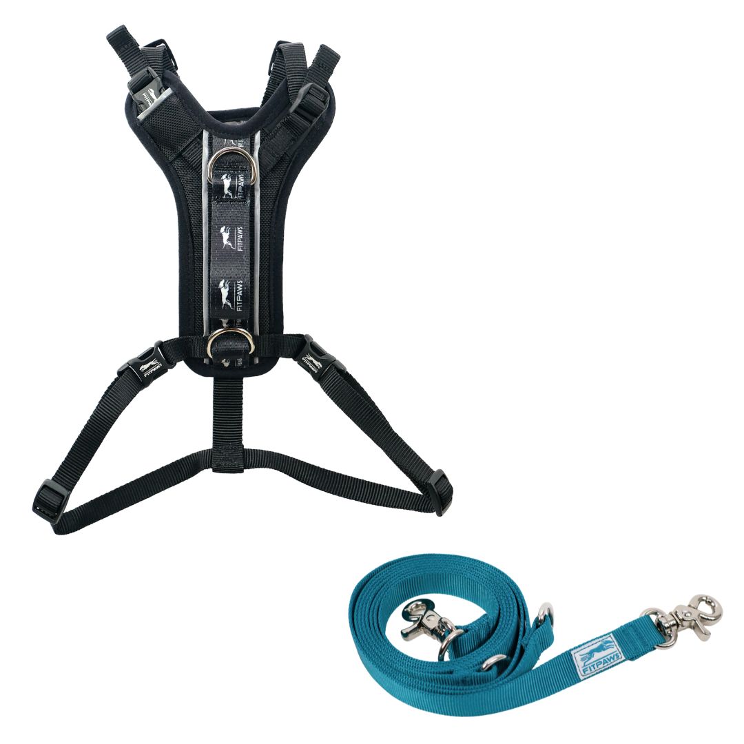 FITPAWS MADE TO MOVE HARNESS AND LEASH