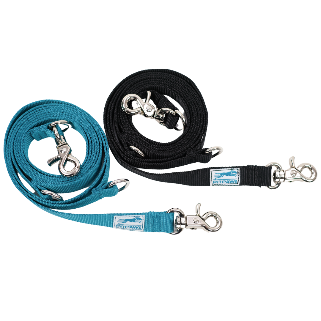 Made to Move Leash