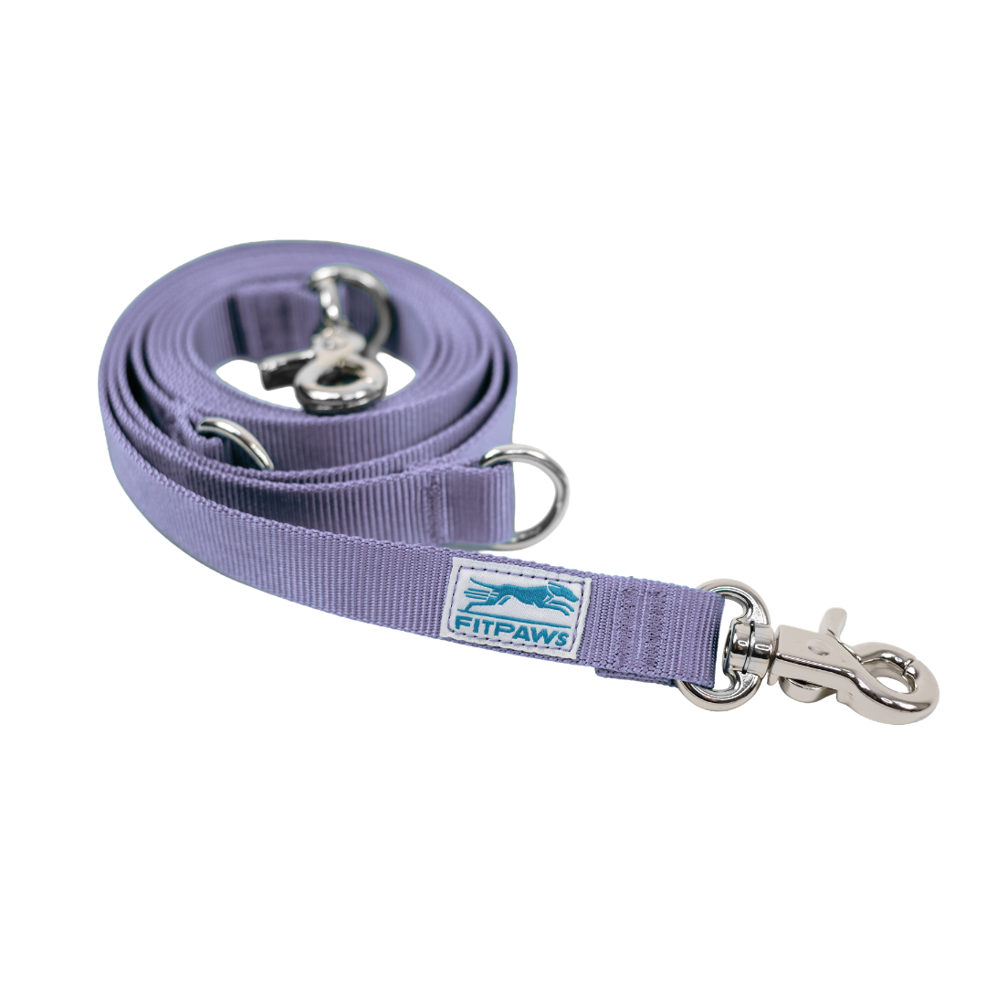 Made to Move Leash