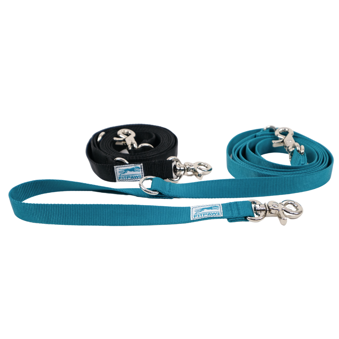 Made to Move Leash