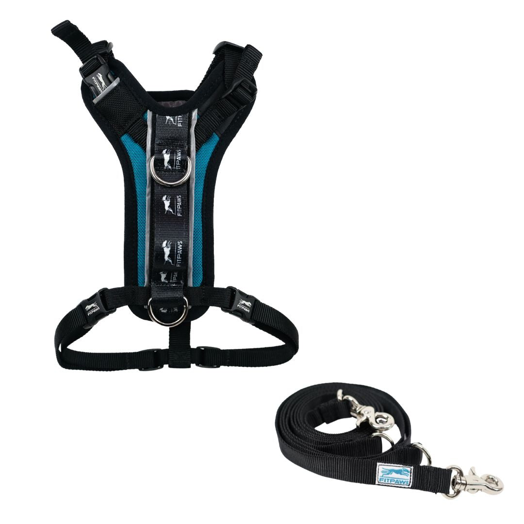 FITPAWS MADE TO MOVE HARNESS AND LEASH
