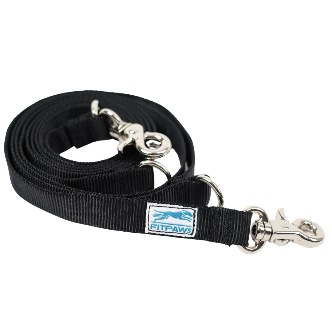Made to Move Leash