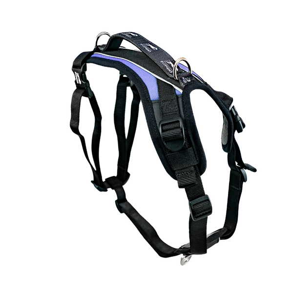 Made To Move Harness
