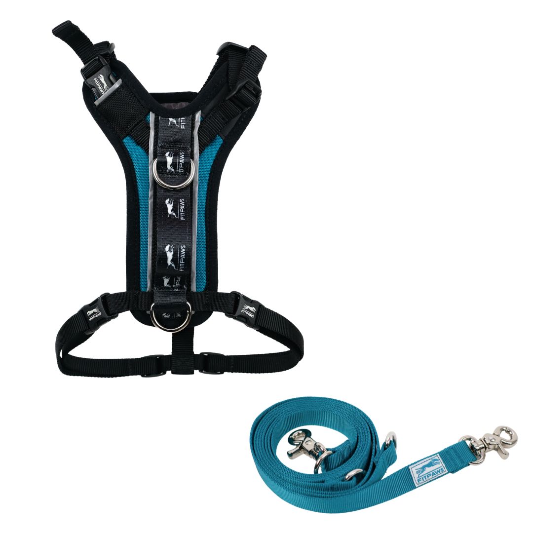 FITPAWS MADE TO MOVE HARNESS AND LEASH