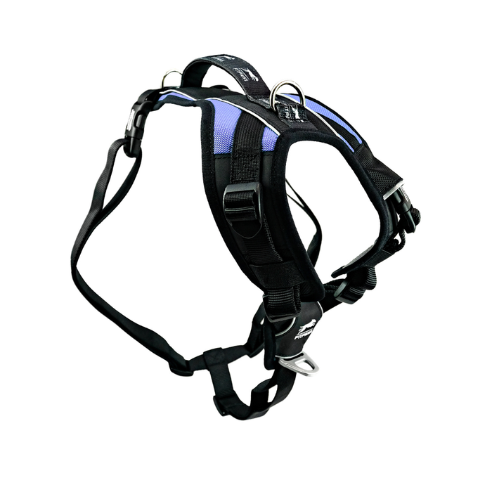 Made To Move Harness