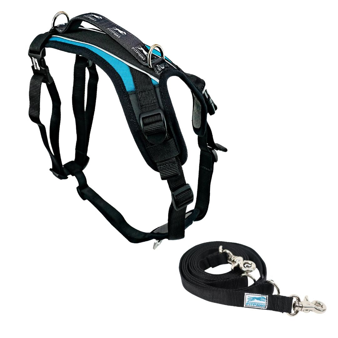FITPAWS MADE TO MOVE HARNESS AND LEASH