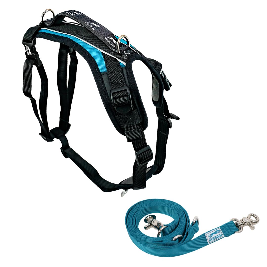 FITPAWS MADE TO MOVE HARNESS AND LEASH