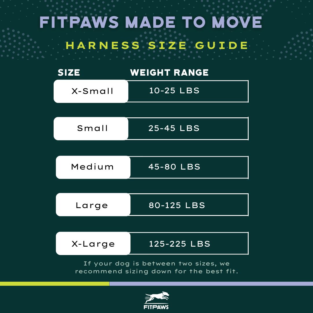 FITPAWS MADE TO MOVE HARNESS AND LEASH