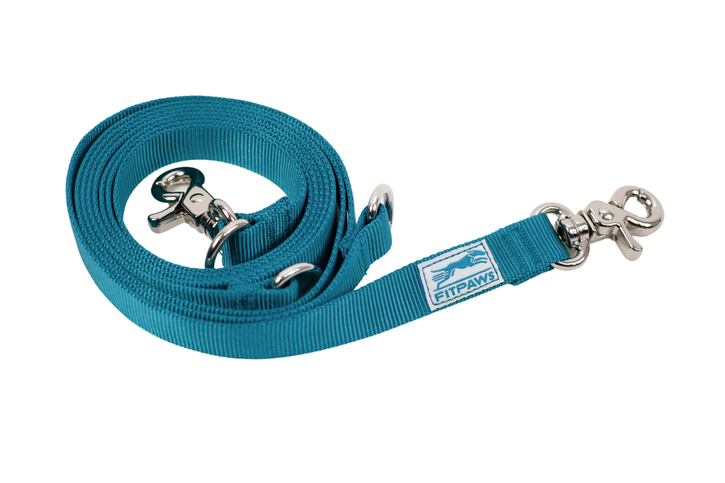 FITPAWS MADE TO MOVE HARNESS AND LEASH