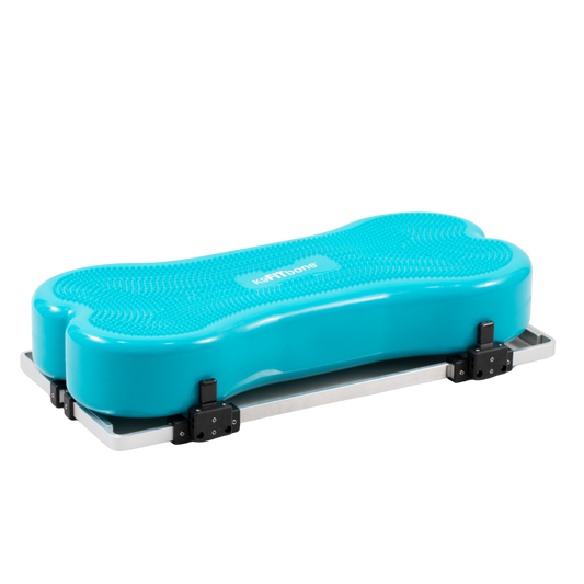 Fitpaws Product Stabilizer, Adaptor & Giant K9FitBone Bundle