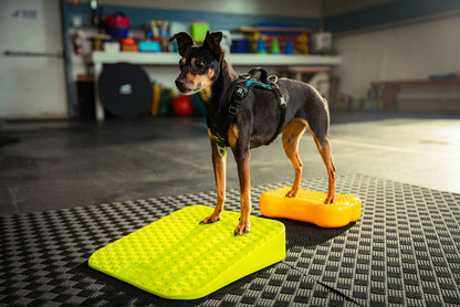 FitPaws Balance Ramp