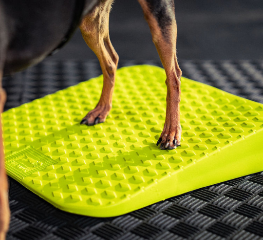 FitPaws Balance Ramp