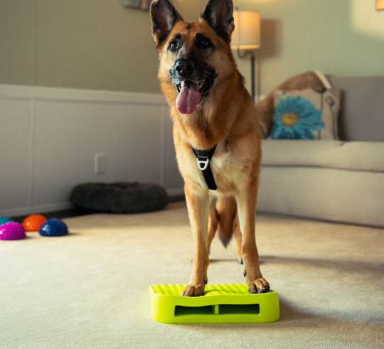 FitPaws Balance Ramp