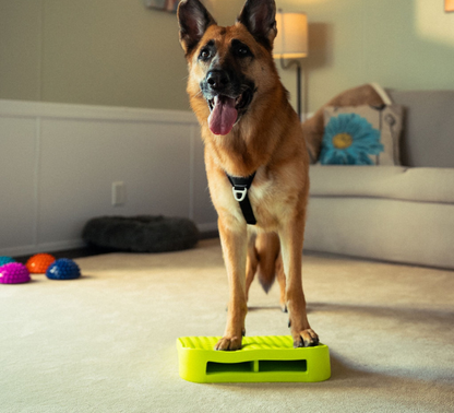 FitPaws Balance Ramp