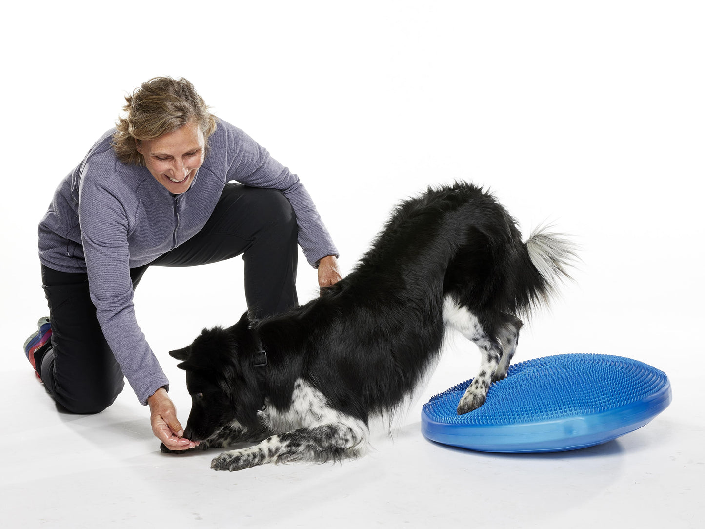 FitPaws Balance Discs (14"  18" or 22")