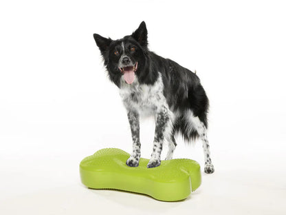 Regular K9FITbone Dog Balance Training Platform