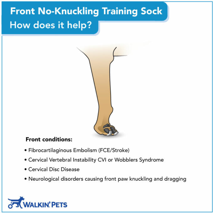 Front No-Knuckling Training Sock