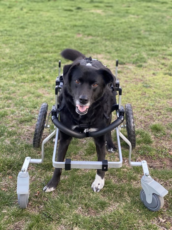 Wheelchair Front Support Kit