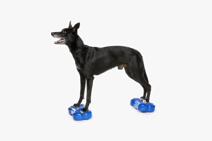 Mini K9FITbone Balance Training Platform Blue