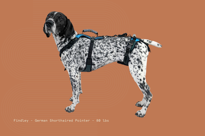 Help 'Em Up Harness