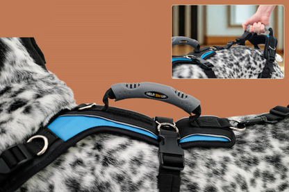 Help 'Em Up Harness