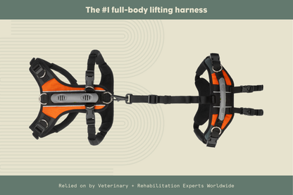 Help 'Em Up Harness