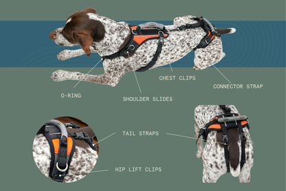 Help 'Em Up Harness