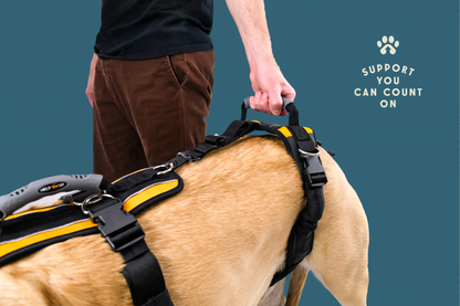 Help 'Em Up Harness