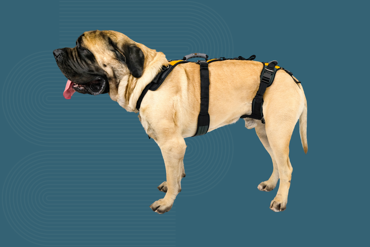 Help 'Em Up Harness