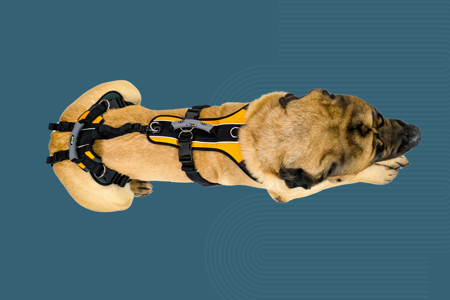 Help 'Em Up Harness