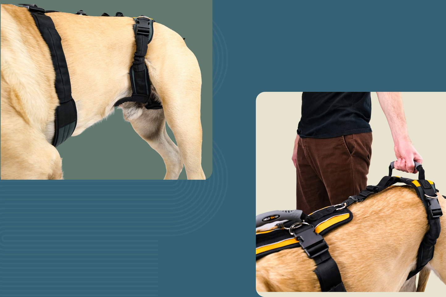 Help 'Em Up Harness